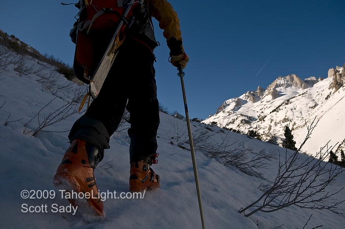 Skinning up the drainage to ski matterhorn peak