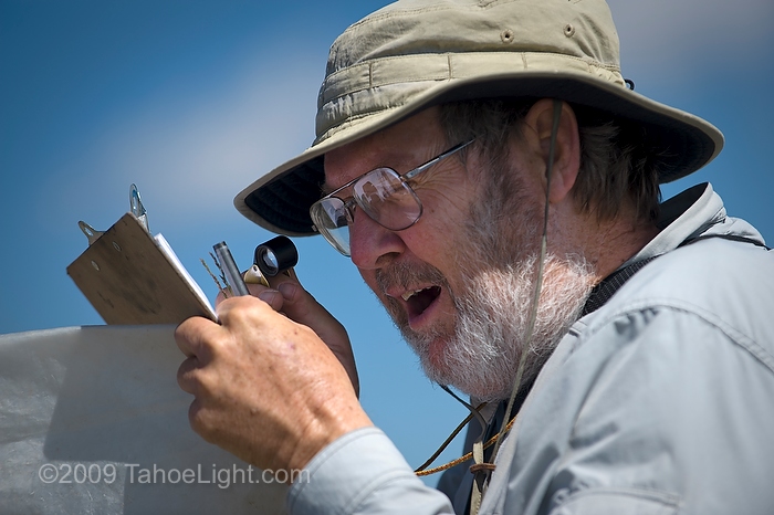 Steve McLaughlin, a botanist and retired professor at the University of Arizona was the go-to man for difficult plant species identification during the GLORIA project survey of plant species and distribution on the alpine peaks in the white mountains.