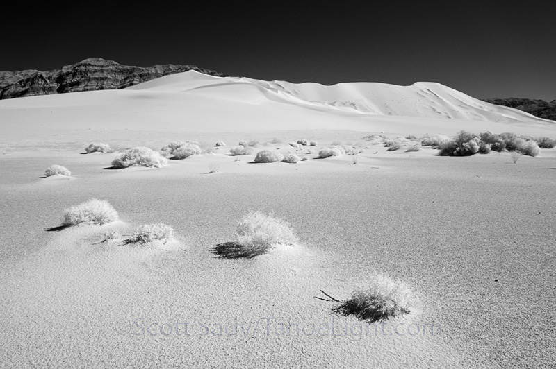 infrared lanscape in Eureka Dunes
