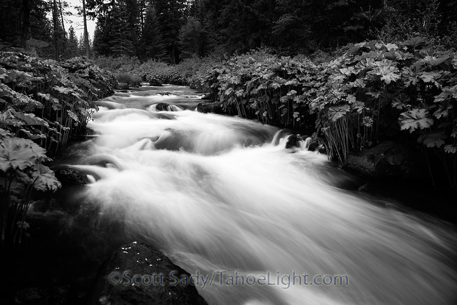 A slow exposure of the McCloud river just above the falls.