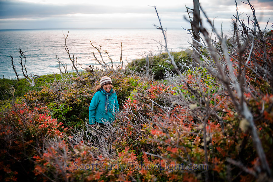 Ecola point state park butts up against Cannon beach and offers some nice hiking and exploring.