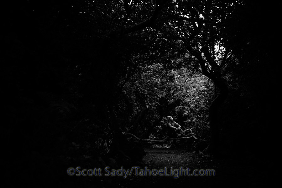 Walking along the coast trail out of the campground.