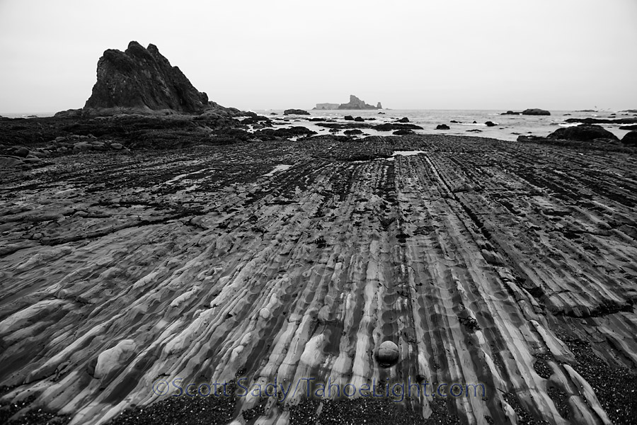 Rialto Beach was the start of the Olympic Wilderness shore hike. This is a random stretch of the Olympic National Park that encompasses about 32 miles of contiguous shoreline that is open for backpacking. I think it puts California's Lost Coast to shame.