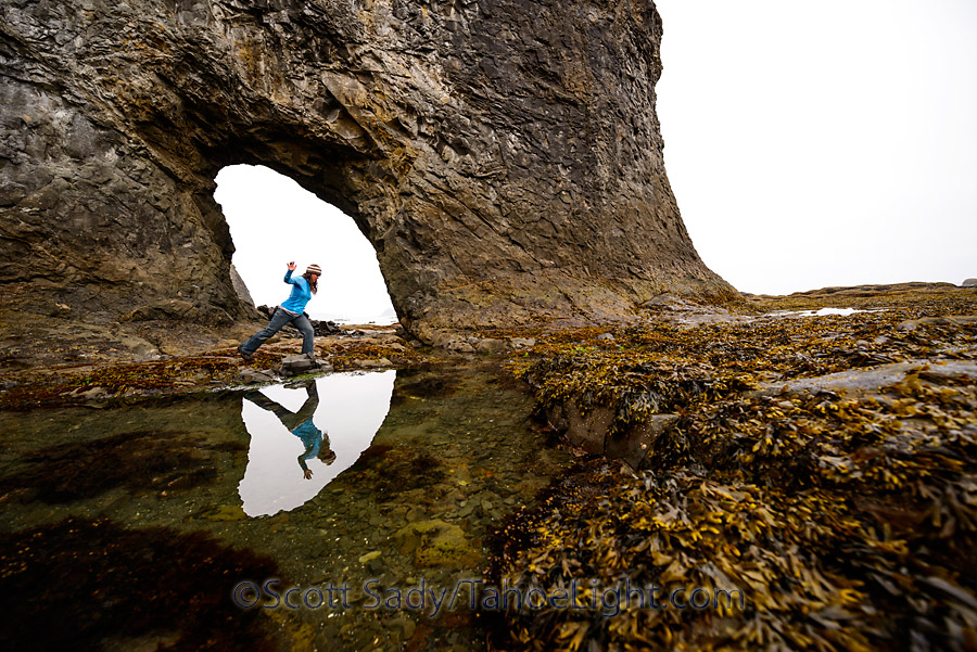 Arch Beach olympic wilderness