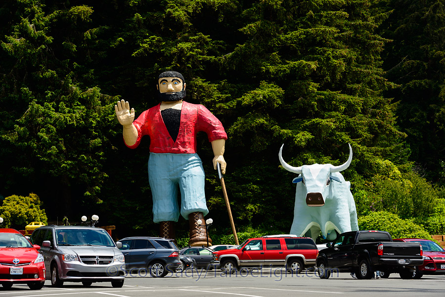The talking Paul Bunyan statue at Trees of Mystery park in Humbolt County.