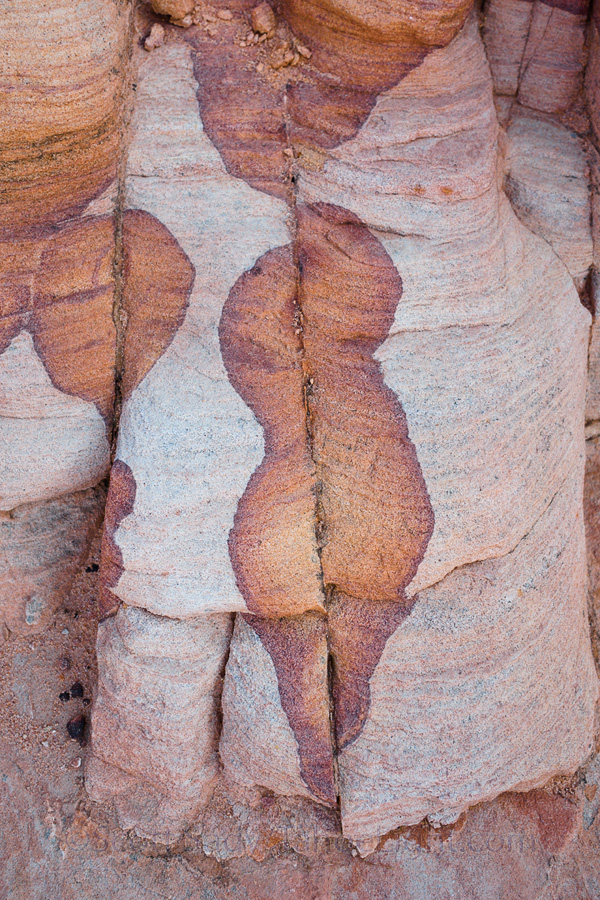 Monique really tunes in to details on the rock, like this lovely lady.