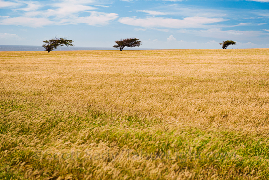 Heading away from South Point, the landscape is rolling fields and farms.