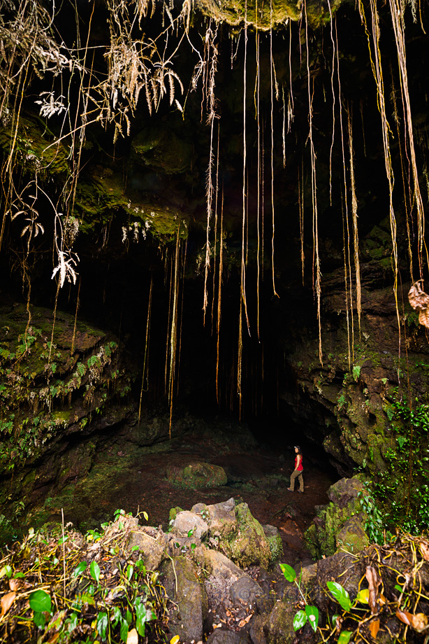 Entrance to the touristy Kaumana Cave near Hilo on the big island of Hawaii.