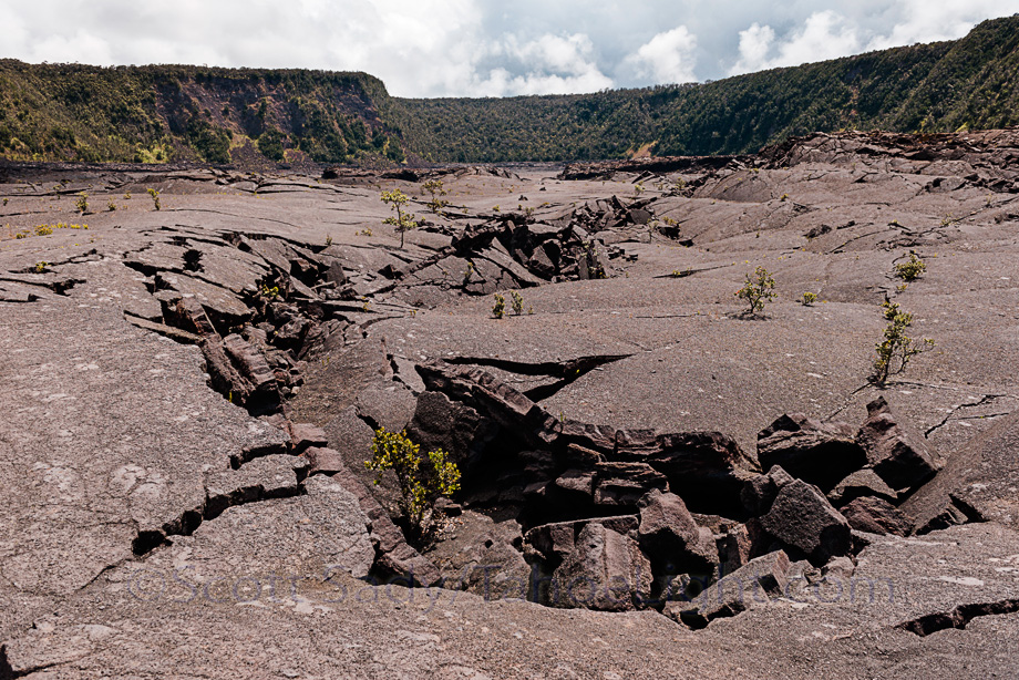 Ki'lauea Iki trail through the old crater floor in Volcanoes national park on the big island of Hawaii. It amazes me that in my lifetime, this was a frothing see of molten lava that people just drove up to and had a few beers while watching. One of my main goals was seeing lava moving down to the sea, unfortunately at present the lava flow on Hawaii is tiny and on inaccessible private property.