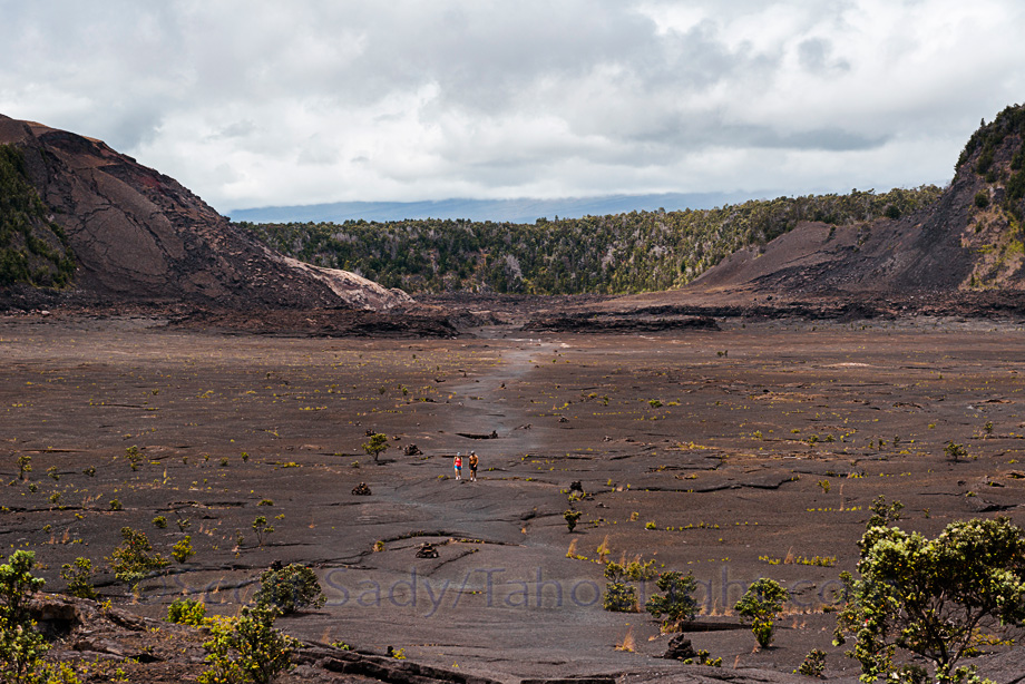 Ki'lauea Iki trail through the old crater floor in Volcanoes national park on the big island of Hawaii. It amazes me that in my lifetime, this was a frothing see of molten lava that people just drove up to and had a few beers while watching. One of my main goals was seeing lava moving down to the sea, unfortunately at present the lava flow on Hawaii is tiny and on inaccessible private property.