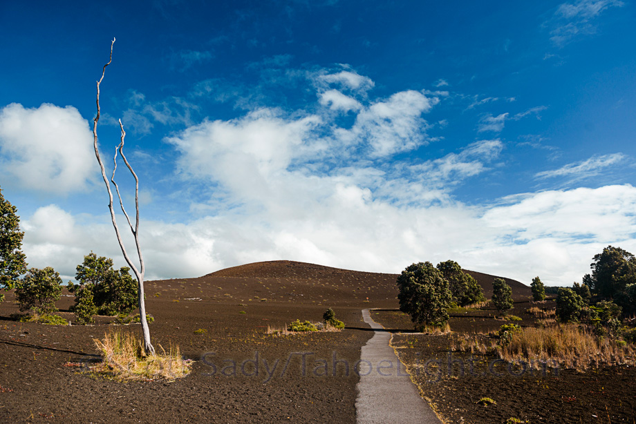 Desolation trail at Volcanoes National Park on the big island of Hawaii. One of my main goals was seeing lava moving down to the sea, unfortunately at present the lava flow on Hawaii is tiny and on inaccessible private property.