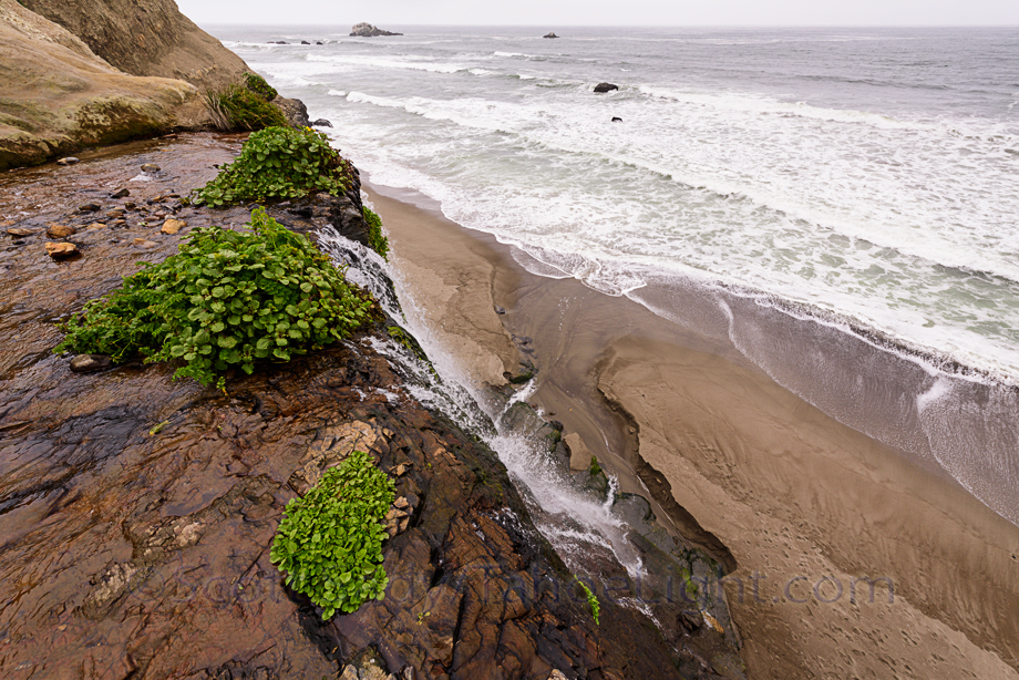 Alamere falls in Point Reyes national seashore 50 miles north of San Francisco, California is a wonderful 4 mile hike that ends in a waterfall that spills onto a secluded beach.