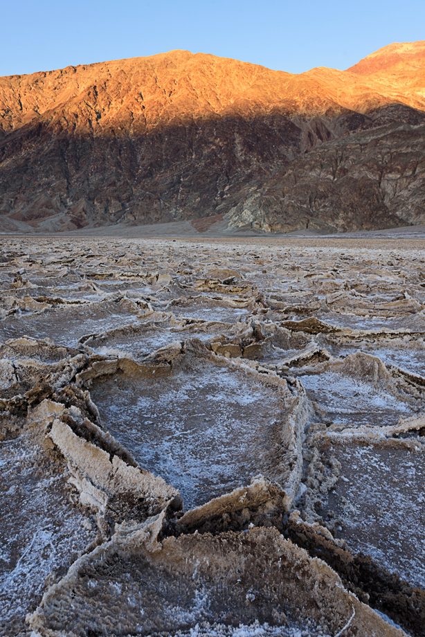 California desert landscapes
