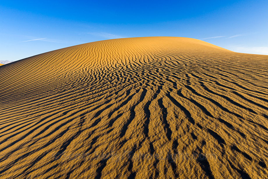 Mesquite Sand Dunes in Death Valley National Park in pristine condition the morning after a frequent wind storm.