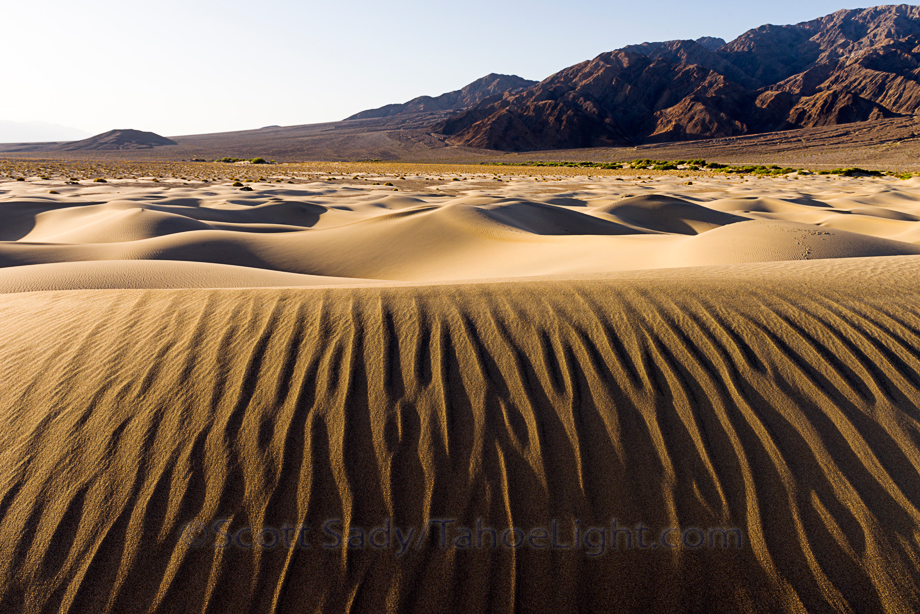 Mesquite Sand Dunes in Death Valley National Park in pristine condition the morning after a frequent wind storm.