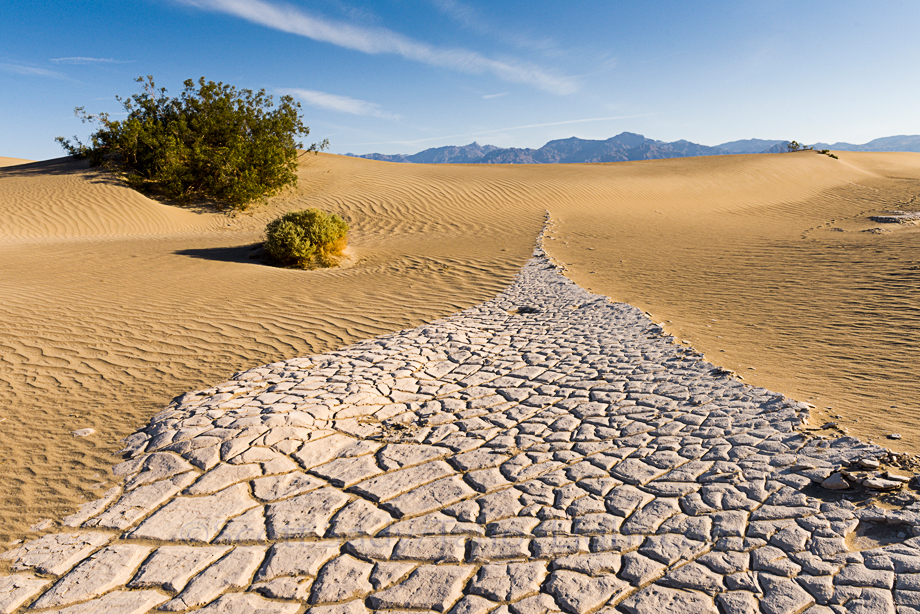 Mesquite Sand Dunes in Death Valley National Park in pristine condition the morning after a frequent wind storm.