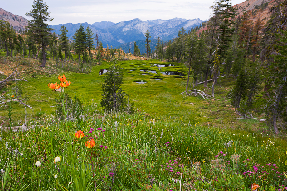 Lower Siligo Meadows, scenic but hard to reach.
