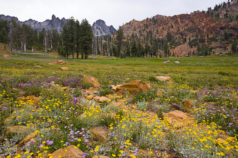 Upper Siligo Meadows would have been an awesome campsite. We should have stopped here instead of Summit Lake.