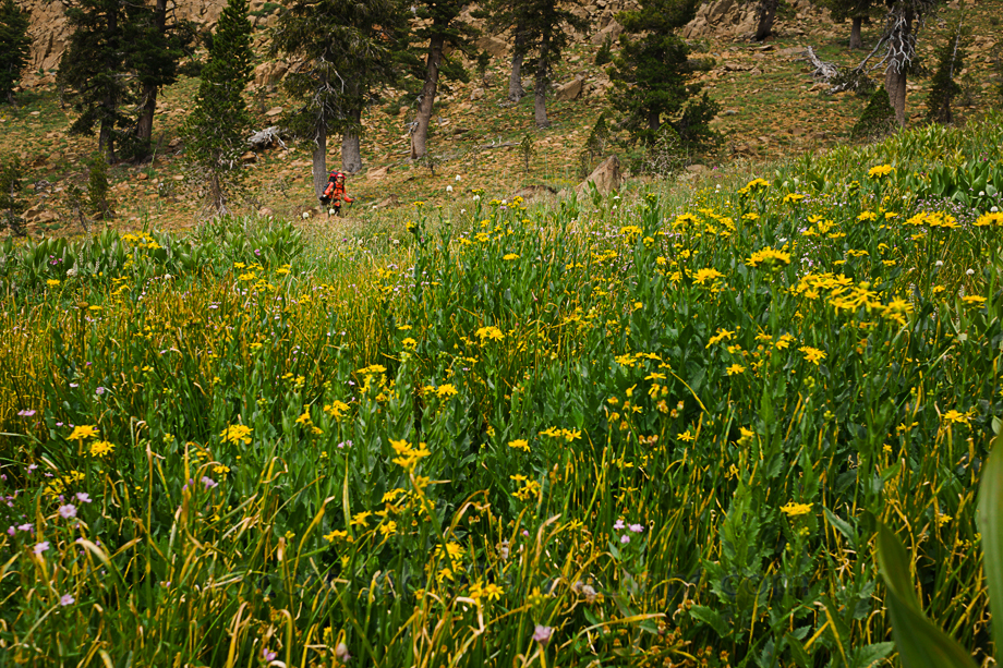 Climbing up out of Siligo Meadows toward Deer Lake.