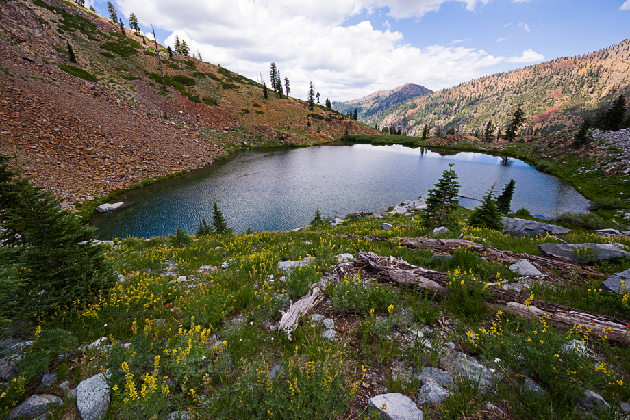 Luella lake was another great swimming lake with loads of wildflowers. No real camping here though. You could fit one small tent in a flat spot in some trees nearby, but that's it.