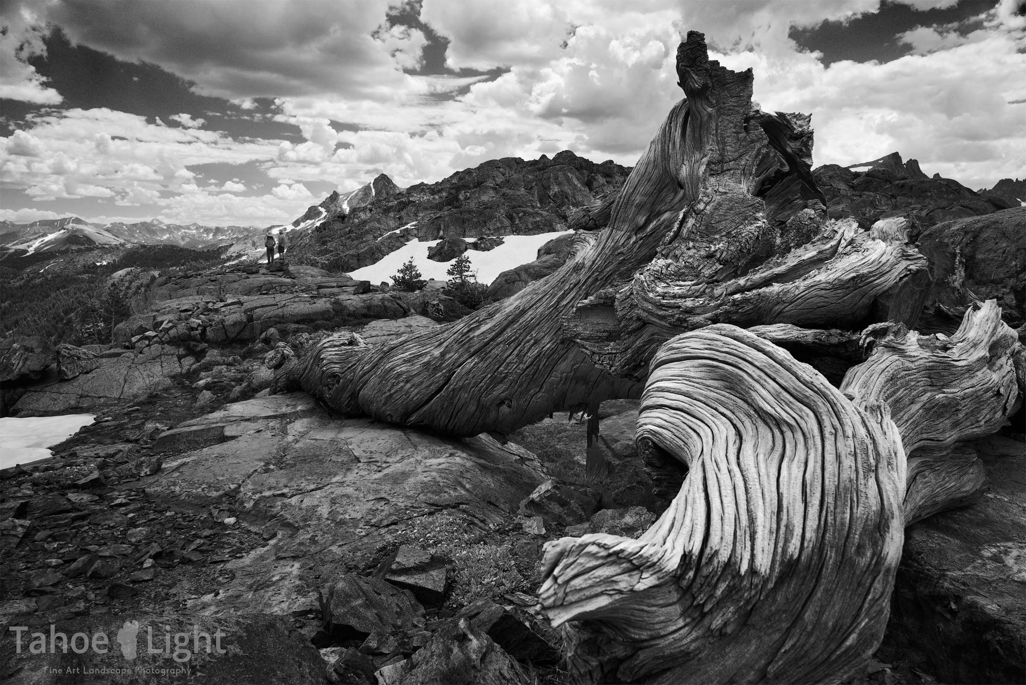 black and white landscape photograph