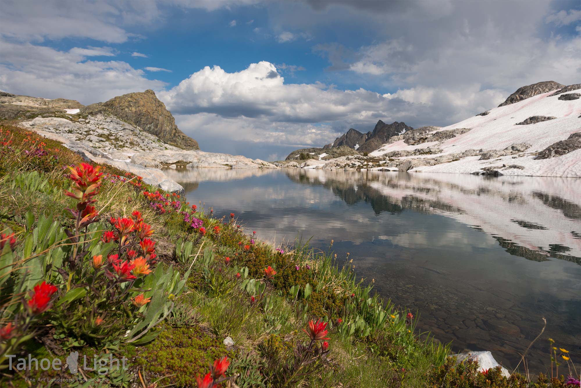 Nydiver lake and wildflowers