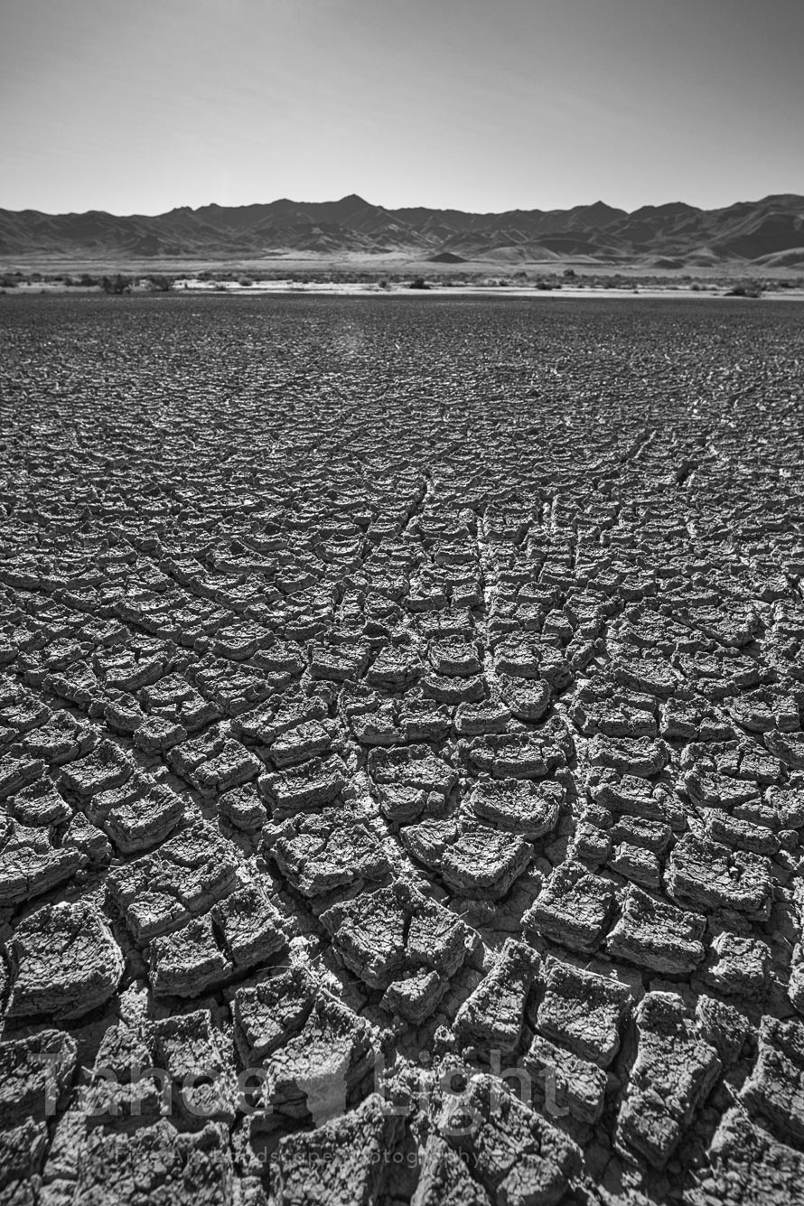 Photograph of dried cracked earth