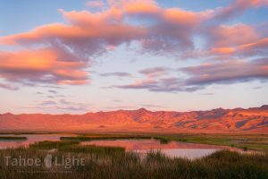 photograph of Stillwater National Wildlife Refuge in Nevada