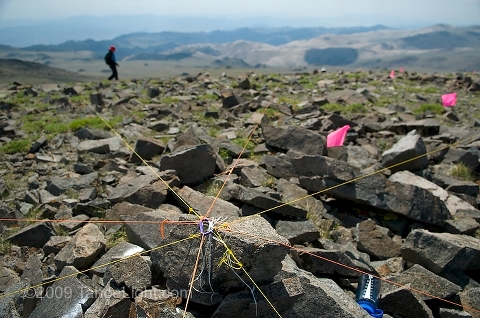 Survey plot lines at the first site at Barcroft peak, 13,040 feet in the White Mountains. The first US 5-year resurvey as part of the Global Observation Research Initiative in Alpine Environments or (GLORIA) climate change survey at the first US master-site in the White Mountains. The University of California's White Mountain Research Station played host to the week-long structured biological and ecological re-survery of several alpine peaks.