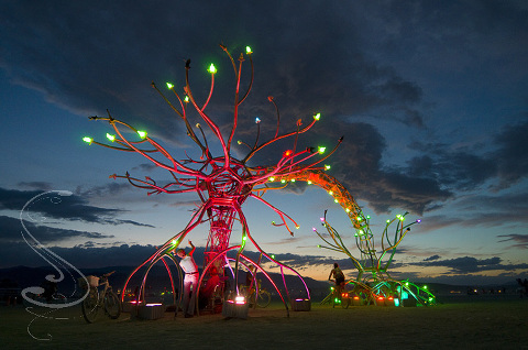 This lighted, flaming tree was one of the major art installations out on the playa at burning man 2009