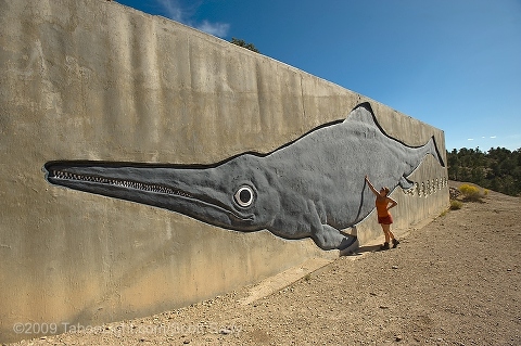 A scale representation of the size of the fossils at the Berlin-Ichthyosaur state park in central Nevada. This unique Nevada state park just south of Austin combines the well-preserved ghost town of Berlin with what used to be the largest Ichthyosaur fossils in the world at 56 feet. Recently an Ichthyosaur was discovered in Canada over 70 feet long, but where do you get ghost town and dinosaur all in one visit?