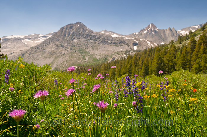 Sawtooth range High Sierra backpacking cross country routes | Tahoe ...