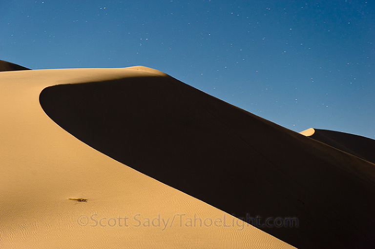 night abstract landscape on sand dunes
