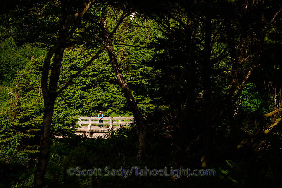 ecola point state park | Tahoe Light Photography