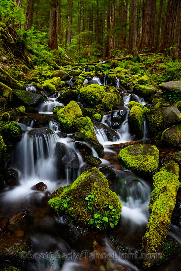 Olympic National Park back to Reno - Aliner camping part 3 of 3 | Tahoe ...