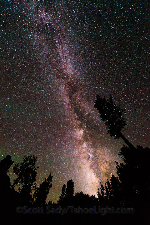 Milky Way galaxy rising through the forest at Saddlerock Lake just below Bishop Pass in the High Sierra mountain range in California.