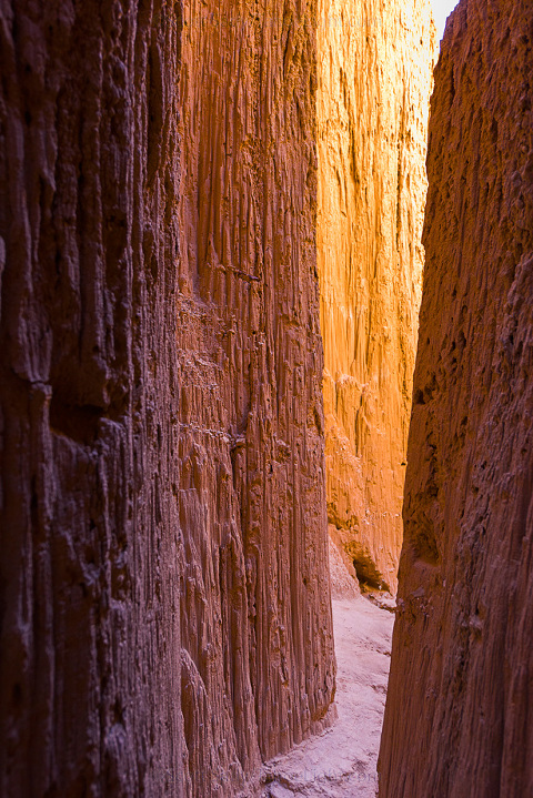 Looking up 80 feet or so to the top of one of the many small slot-canyons in Cathedral Gorge State Park.