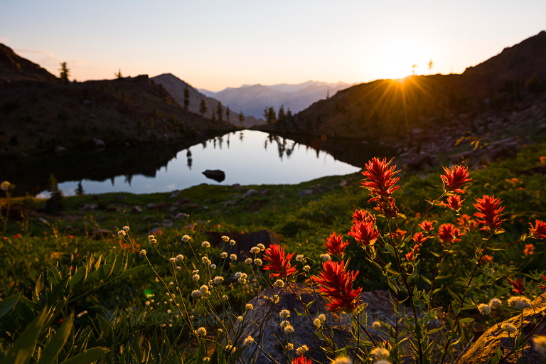 Sunset and wildflowers at Echo Lake in the Trinity Alps wilderness Four Lakes loop backpacking trail in California.