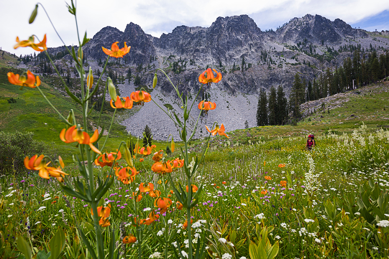 The meadows and stream around round lake at the base of the valley sported another insane display of wildflowers