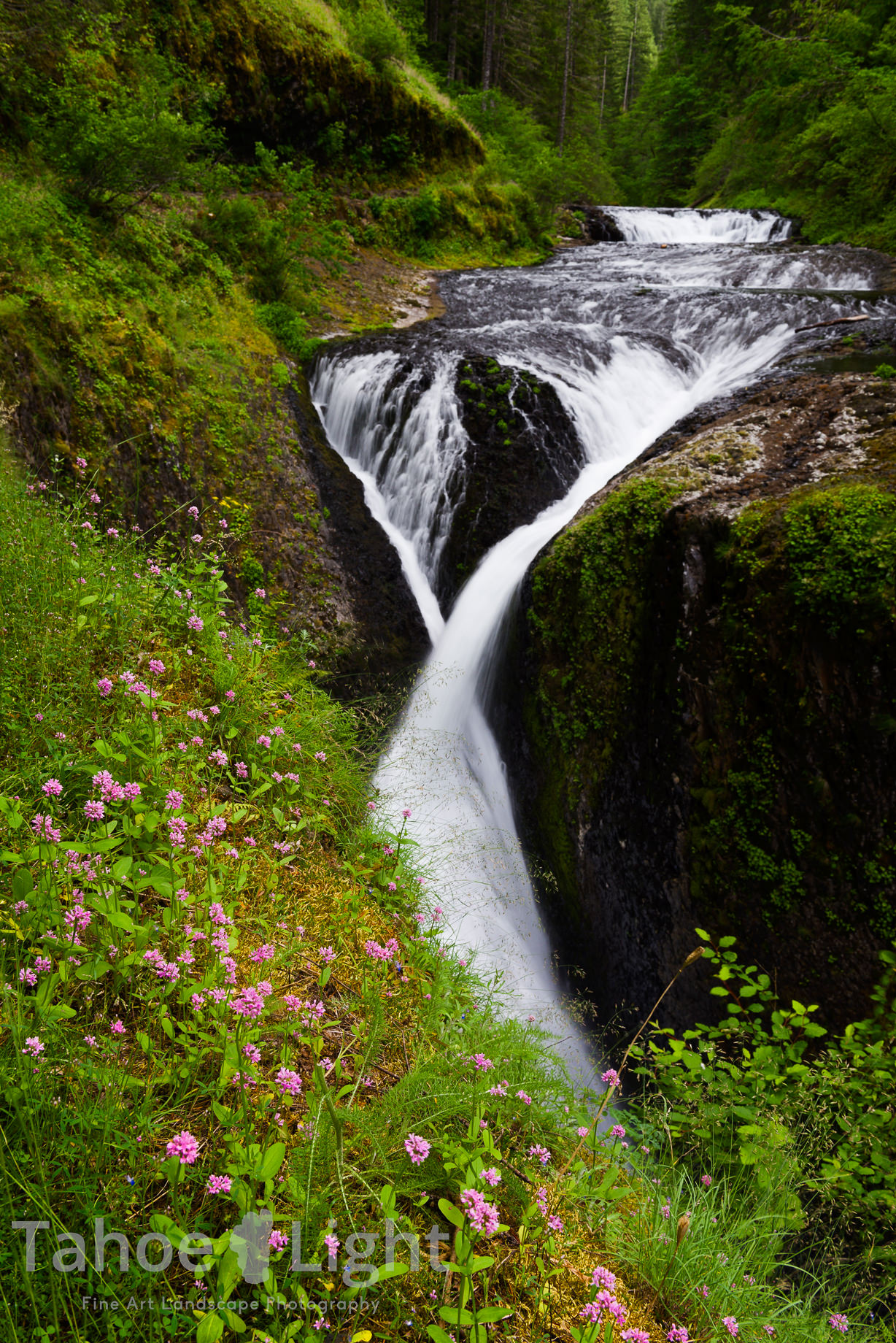 eagle creek trail Twister falls