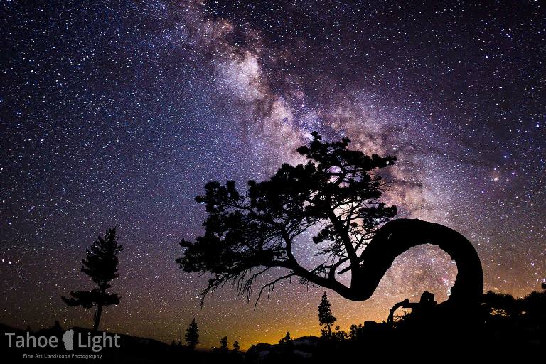 milky way and cuved tree