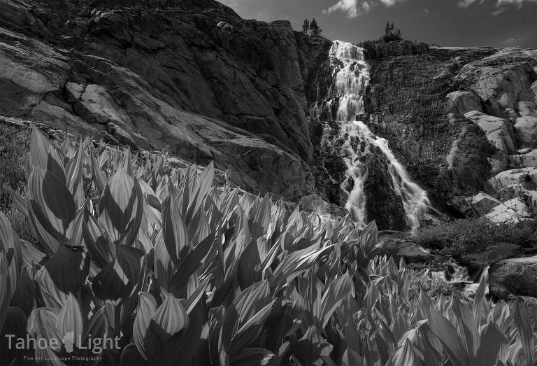 waterfall black and white photo